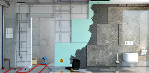 Professional Mold Removal in Newark, CA